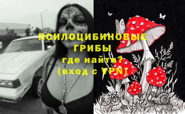 гашик Армянск