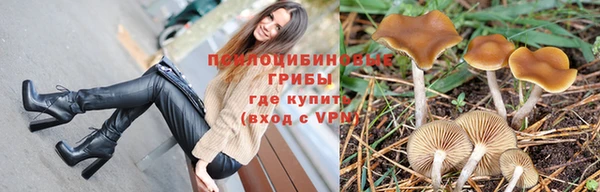 меф Арсеньев