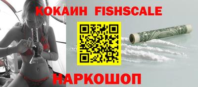 тгк Кингисепп