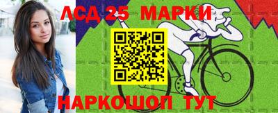 тгк Кингисепп