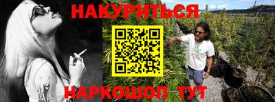 крисы Кинель