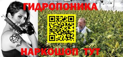 тгк Кингисепп