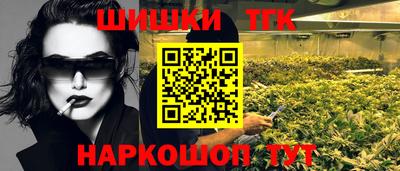 тгк Кингисепп