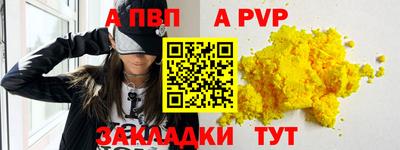 тгк Кингисепп
