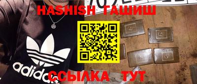 тгк Кингисепп