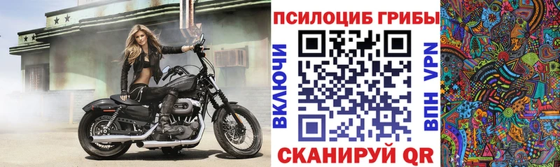 Псилоцибиновые грибы Magic Shrooms  продажа наркотиков  Кубинка 