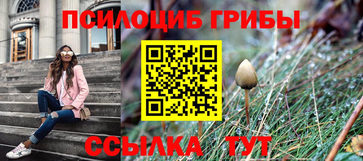 Псилоцибиновые грибы ЛСД Кубинка