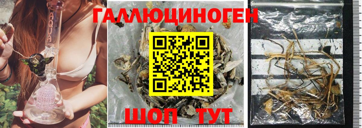 Псилоцибиновые грибы GOLDEN TEACHER  Вход с VPN  Кубинка 